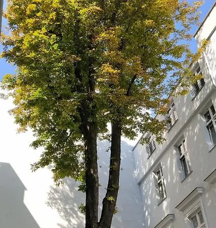 Kyhash Kazimierz Starowislna 36 *